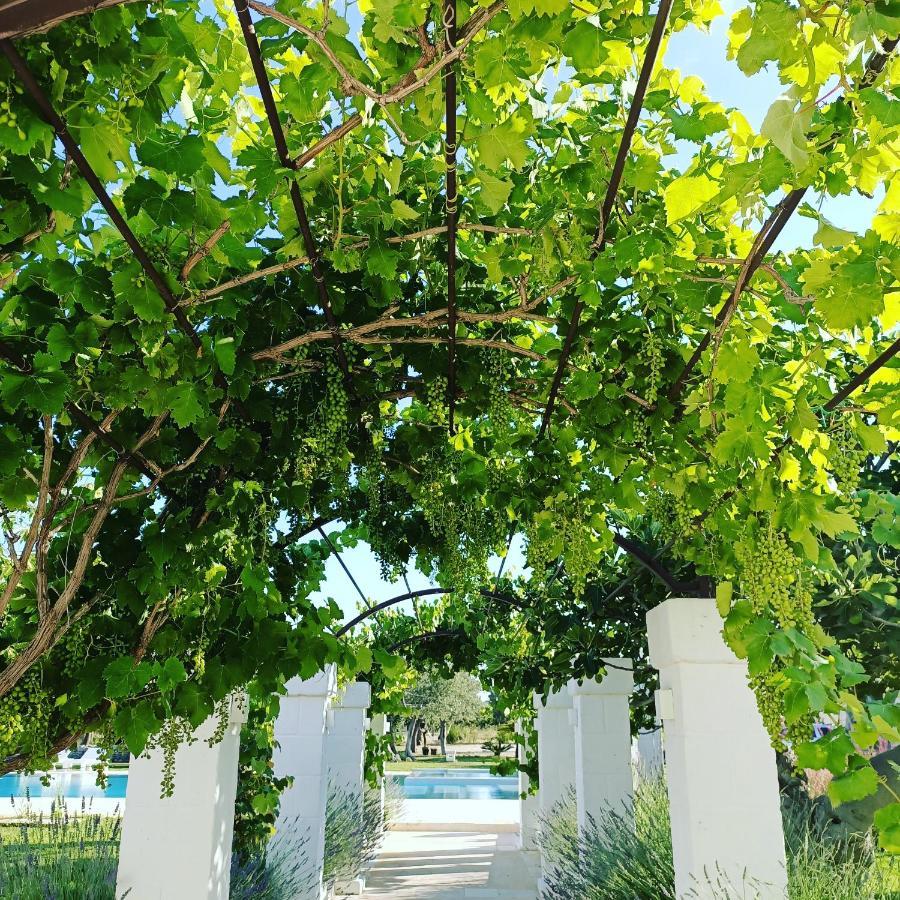 Masseria Almadava Polignano a Mare Bagian luar foto